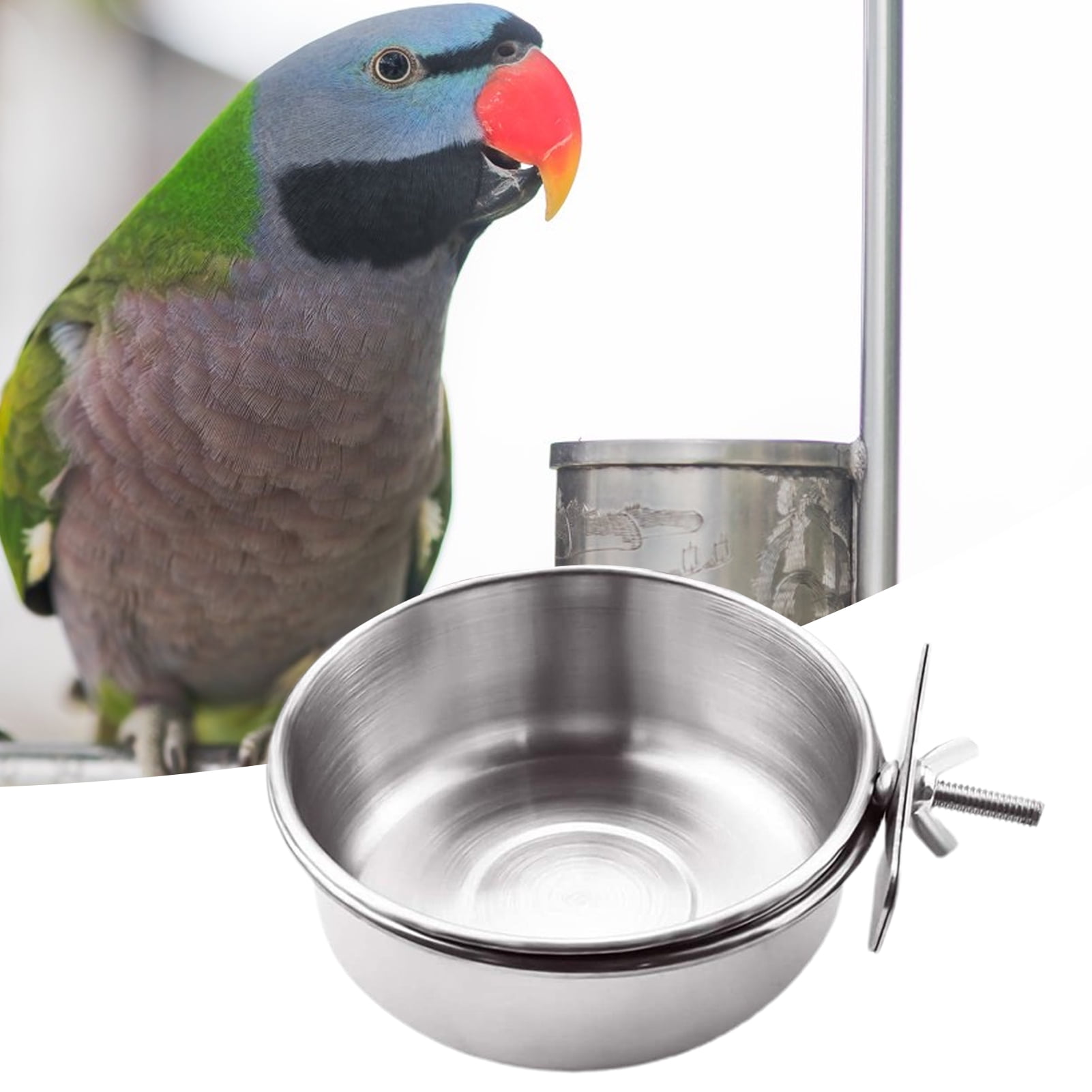Travelwant Bird Feeding Dish Cups Parrot Food Bowl Clamp Holder Coop Cup Bird Cage Water Bowl for Parakeet African Greys Conure Cockatiels Lovebird