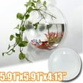 thumbnail image 1 of Travelwant Creative Acrylic Hanging Wall Mounted Fish Tank, Hanging Bowl For Water Plants, Wall Fish Bubble Tank, Hydroponic Air Plant Flower Pot, Mini Aquarium Planter, Home Decor, 1 of 7