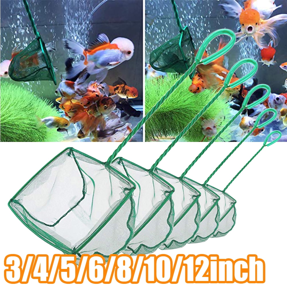Forzero Fine Mesh Fish Net for Fish Tank - 4 6 8 10 inch Aquarium Net  Scoop, Aquarium Fish Skimmer Net with Plastic Handle for Catching Small  Fish