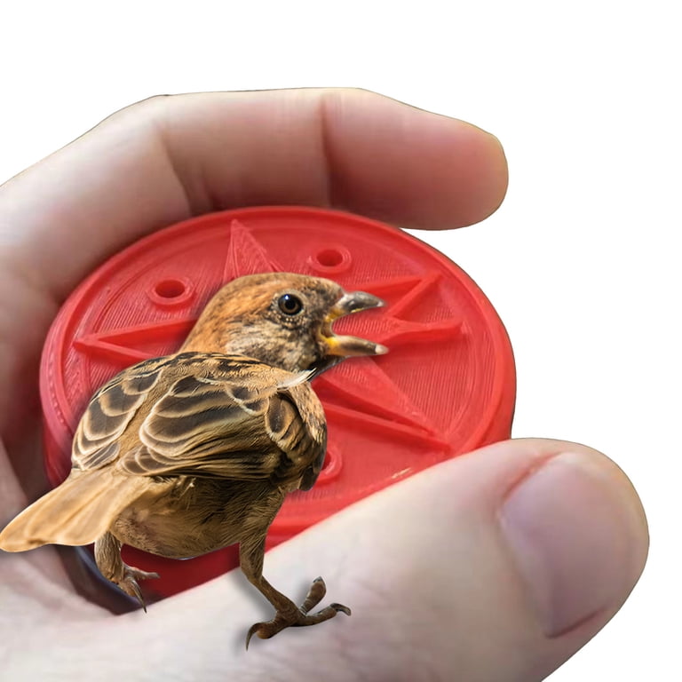 Hand Feed Hummingbird Ring Feeder By Zummr Hummingbird Swing