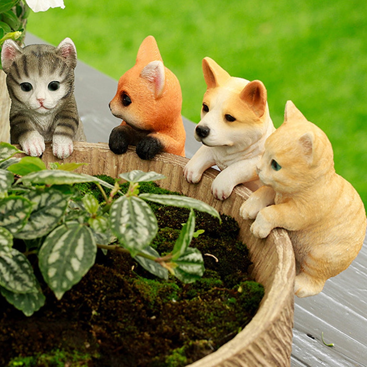 Travelwant Miniature Fairy Garden and Terrarium Flower Pot and Vase ...