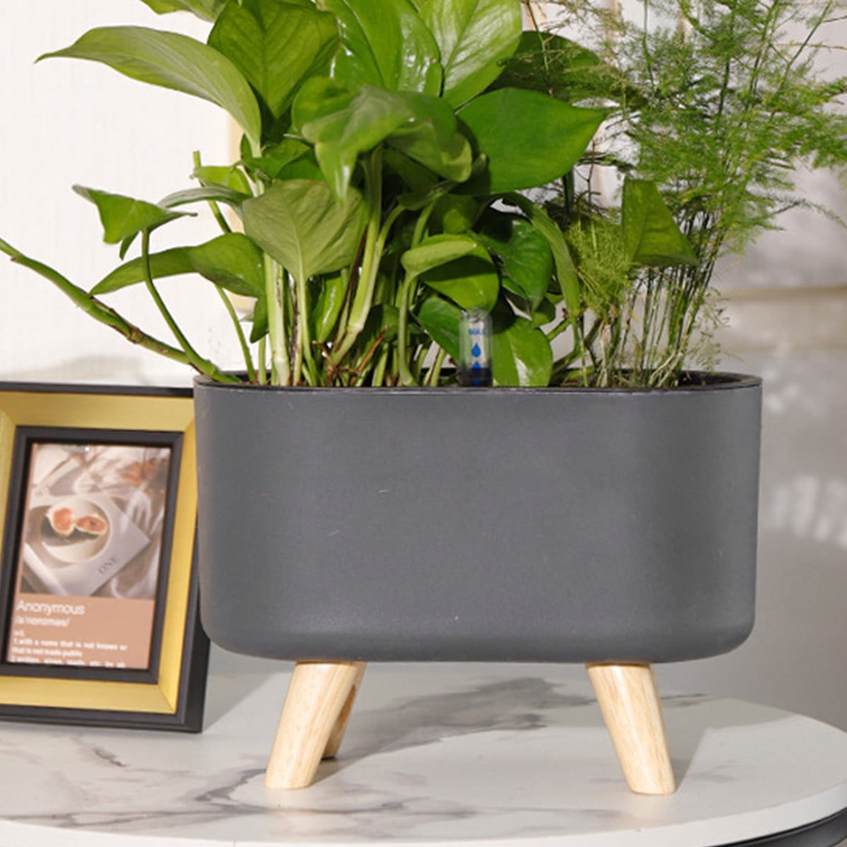 Travelwant Self Watering Planter with Water Level Indicator, Window Gardening Box, Decorative Planter Pot for All House Plants Flowers Herbs, Modern Decorative Planter Pot