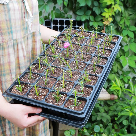 Travelwant Starter Kit, Seedling Trays Gardening Germination Tray Nursery Pots Mini Propagator Grow Kit Plug Tray Starting Trays