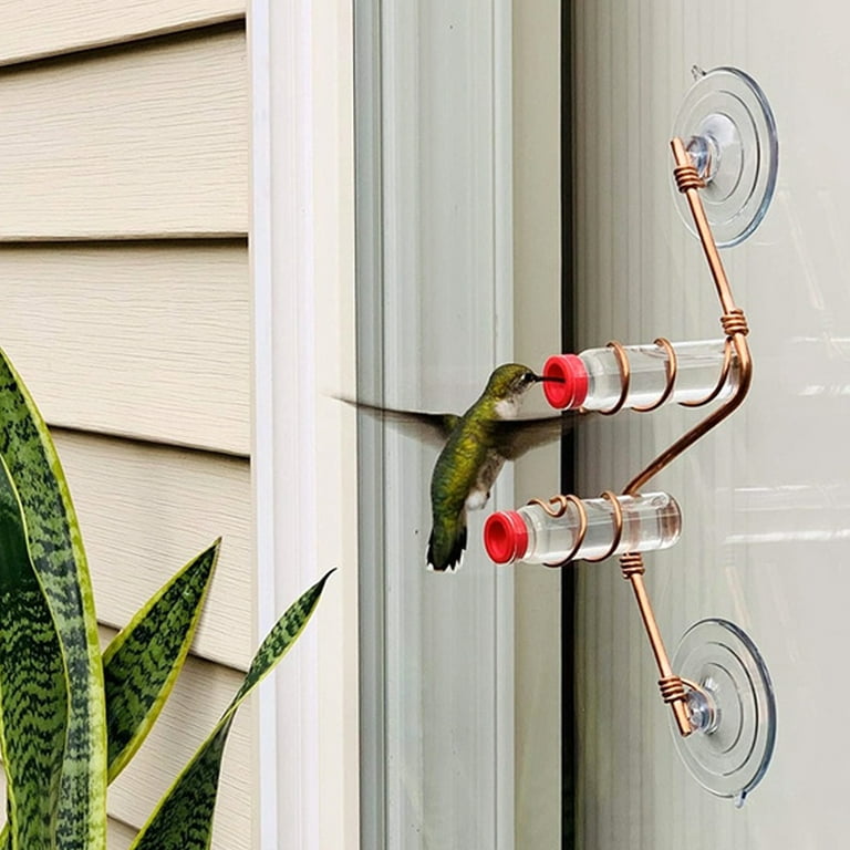 Modern hummingbird feeder online
