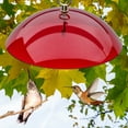 thumbnail image 1 of Travelwnat Protective Dome, Protective Cover for Hanging Bird Feeders Clear, 1 of 1