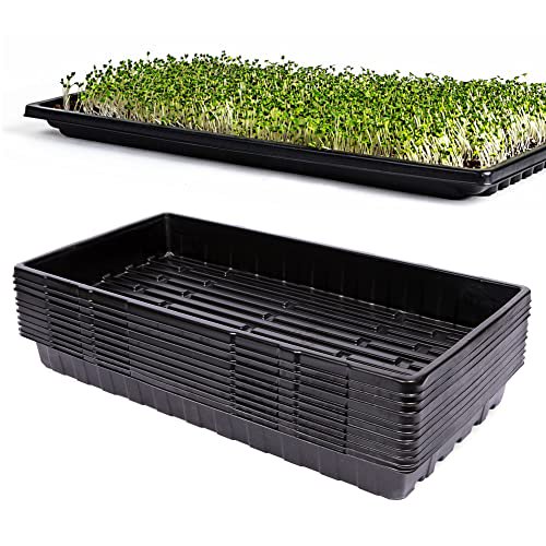 Trays 10 Pack 1020 Cloning Trays For Germination And Propagation
