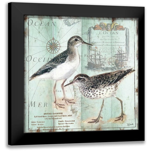 Tre Sorelle Studios 12x12 Black Modern Framed Museum Art Print Titled - Antique La Mer VI