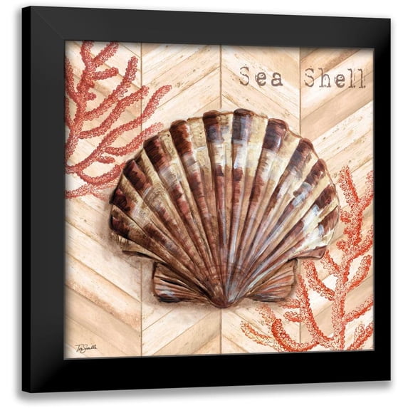 Tre Sorelle Studios 12x12 Black Modern Framed Museum Art Print Titled - Chevron Shells Coral IV