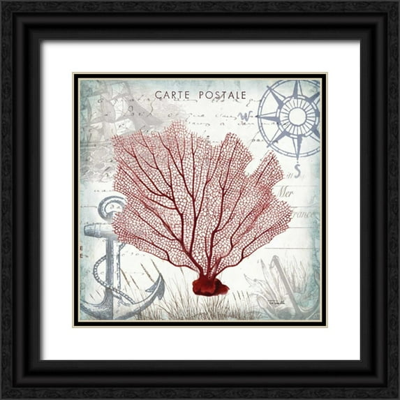 Tre Sorelle Studios 12x12 Black Ornate Wood Framed with Double Matting Museum Art Print Titled - Coastal Sea Life I