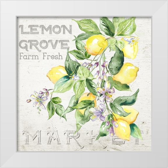Tre Sorelle Studios 12x12 White Modern Wood Framed Museum Art Print Titled - Lemon Grove II