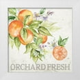 thumbnail image 1 of Tre Sorelle Studios 12x12 White Modern Wood Framed Museum Art Print Titled - Lemon  Grove IV, 1 of 4