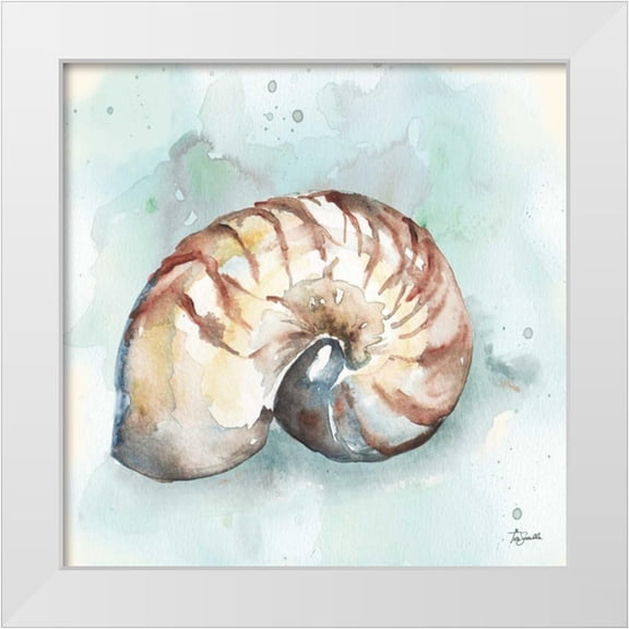 Tre Sorelle Studios 12x12 White Modern Wood Framed Museum Art Print Titled - Watercolor Shells II