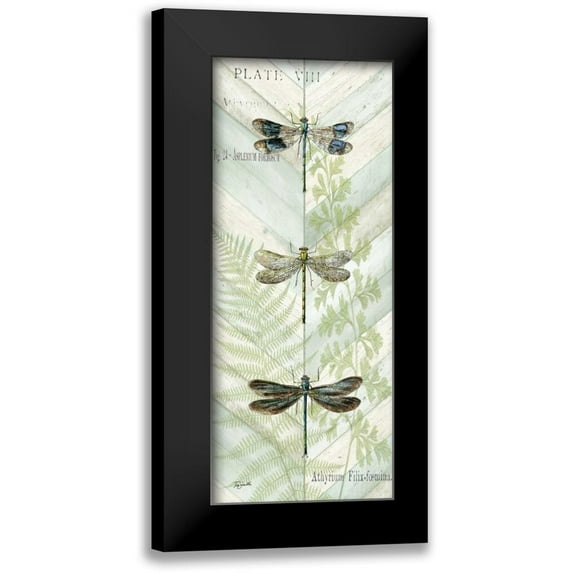 Tre Sorelle Studios 12x24 Black Modern Framed Museum Art Print Titled - Dragonfly Botanical Panels II