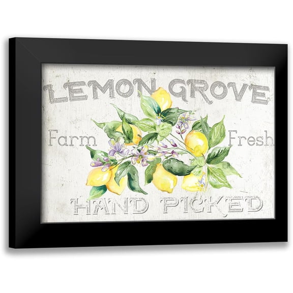 Tre Sorelle Studios 14x11 Black Modern Framed Museum Art Print Titled - Lemon Grove I
