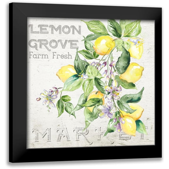 Tre Sorelle Studios 15x15 Black Modern Framed Museum Art Print Titled - Lemon Grove II