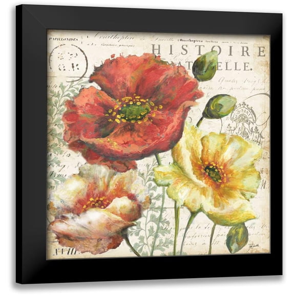 Tre Sorelle Studios 15x15 Black Modern Framed Museum Art Print Titled - Spice Poppies Histoire Naturelle I