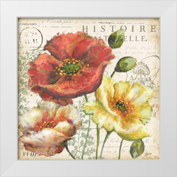 Tre Sorelle Studios 15x15 White Modern Wood Framed Museum Art Print Titled - Spice Poppies Histoire Naturelle I