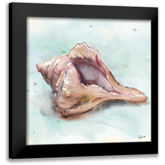 Tre Sorelle Studios 20x20 Black Modern Framed Museum Art Print Titled - Watercolor Shells III