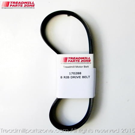 Treadmillpartszone Replacement IMAGE Treadmill Model IMTL99000 1250 Motor Belt Part 170288