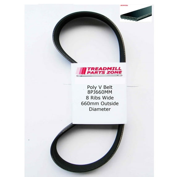 Treadmillpartszone Replacement Poly V Micro Belt 8 Ribs Wide x 660MM OD 8PJ660