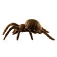 thumbnail image 1 of Treasure Gurus Acanthoscurria Insubtilis Cast Iron Large Giant Tarantula Spider Outdoor Statue, 1 of 2