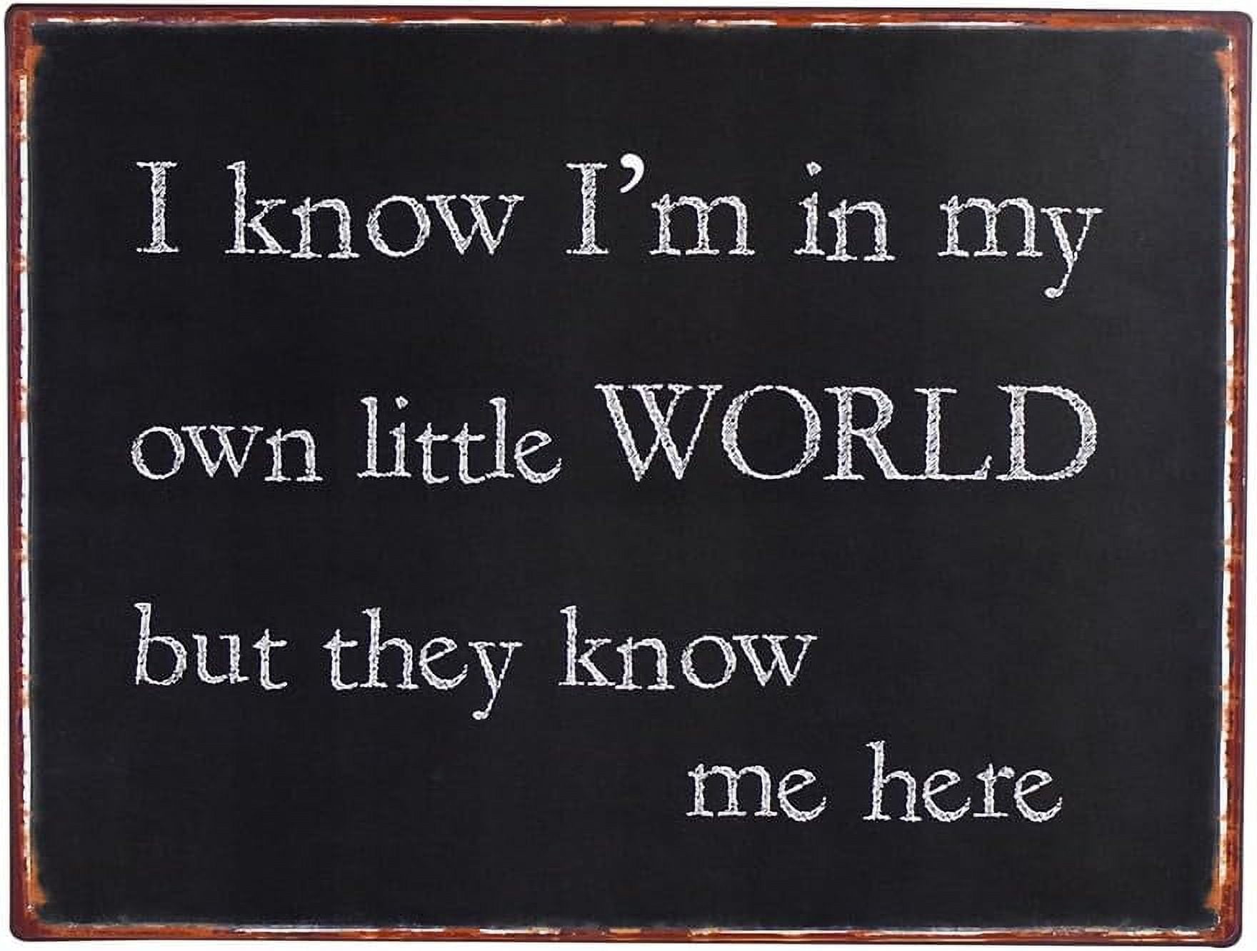 Treasure Gurus Funny Metal Wall Art I'm in My Own Little World But They