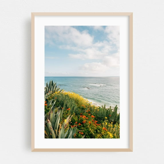 Treasure Island, Laguna 03 - Laguna Beach California Photography Oak Framed Wall Art Print 12 x 18 inches
