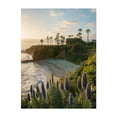 thumbnail image 1 of Treasure Island Park, Laguna Beach 03 - Laguna Beach California Photography Beach Coastal Palm Tree Sunset Tropical Ocean Scenic Unframed Wall Art Print 36 x 48 inches, 1 of 4