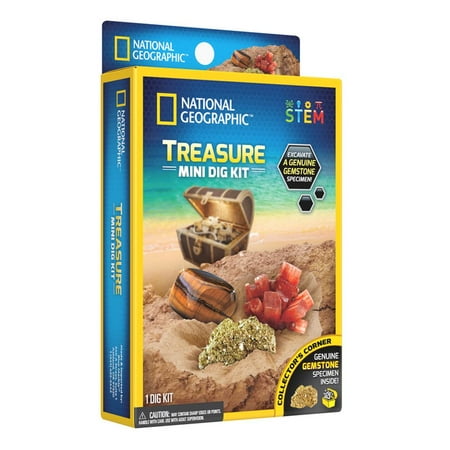 Treasure Mini Dig Kit