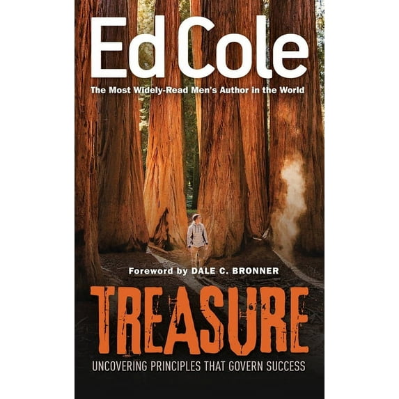 Treasure: Uncovering Principles That Govern Success, (Paperback)
