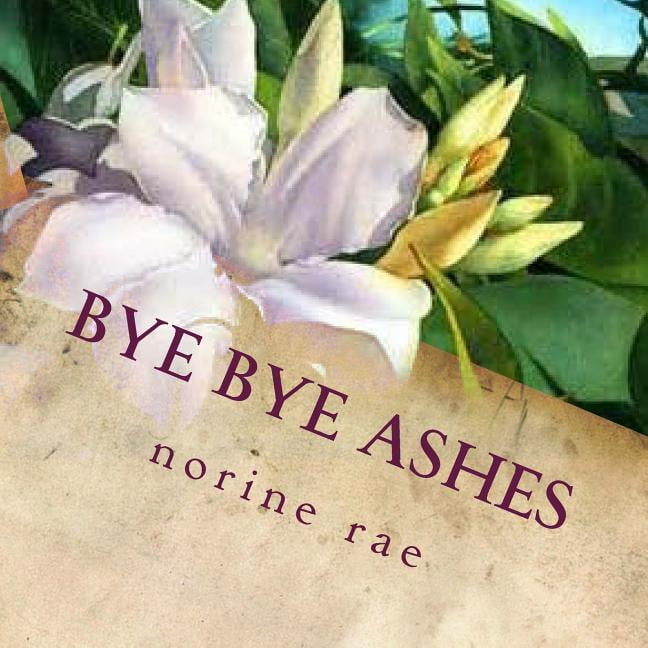 Bye Bye Ashes: Finding True Love. a Cinderella Story... Paperback