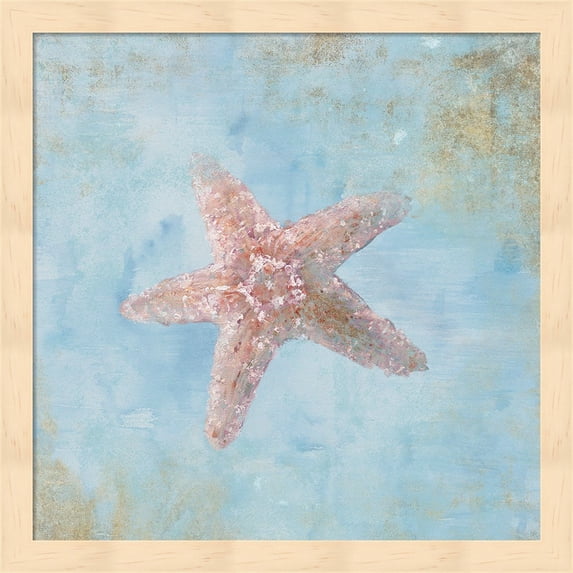 Treasures from the Sea IV Watercolor by Danhui Nai, Framed Wall Art, 13.25W x 13.25H