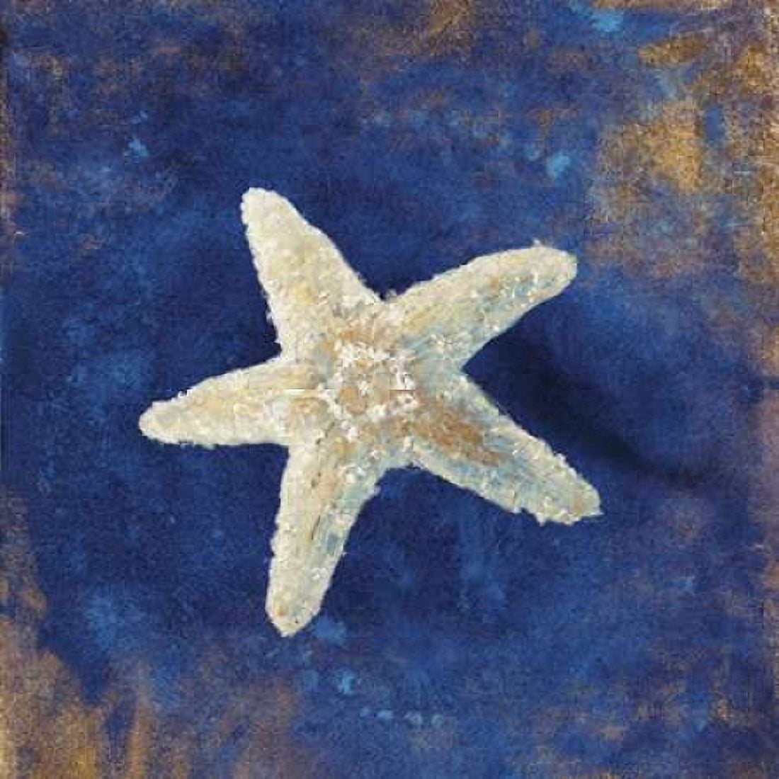 Treasures of the Sea Indigo IV Canvas Art - Danhui Nai (24 x 24)