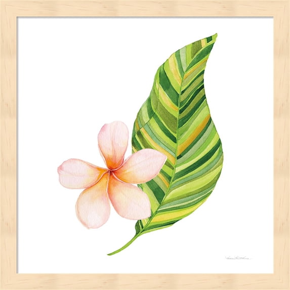 Treasures of the Tropics X by Kathleen Parr McKenna, Framed Wall Art, 13.25W x 13.25H