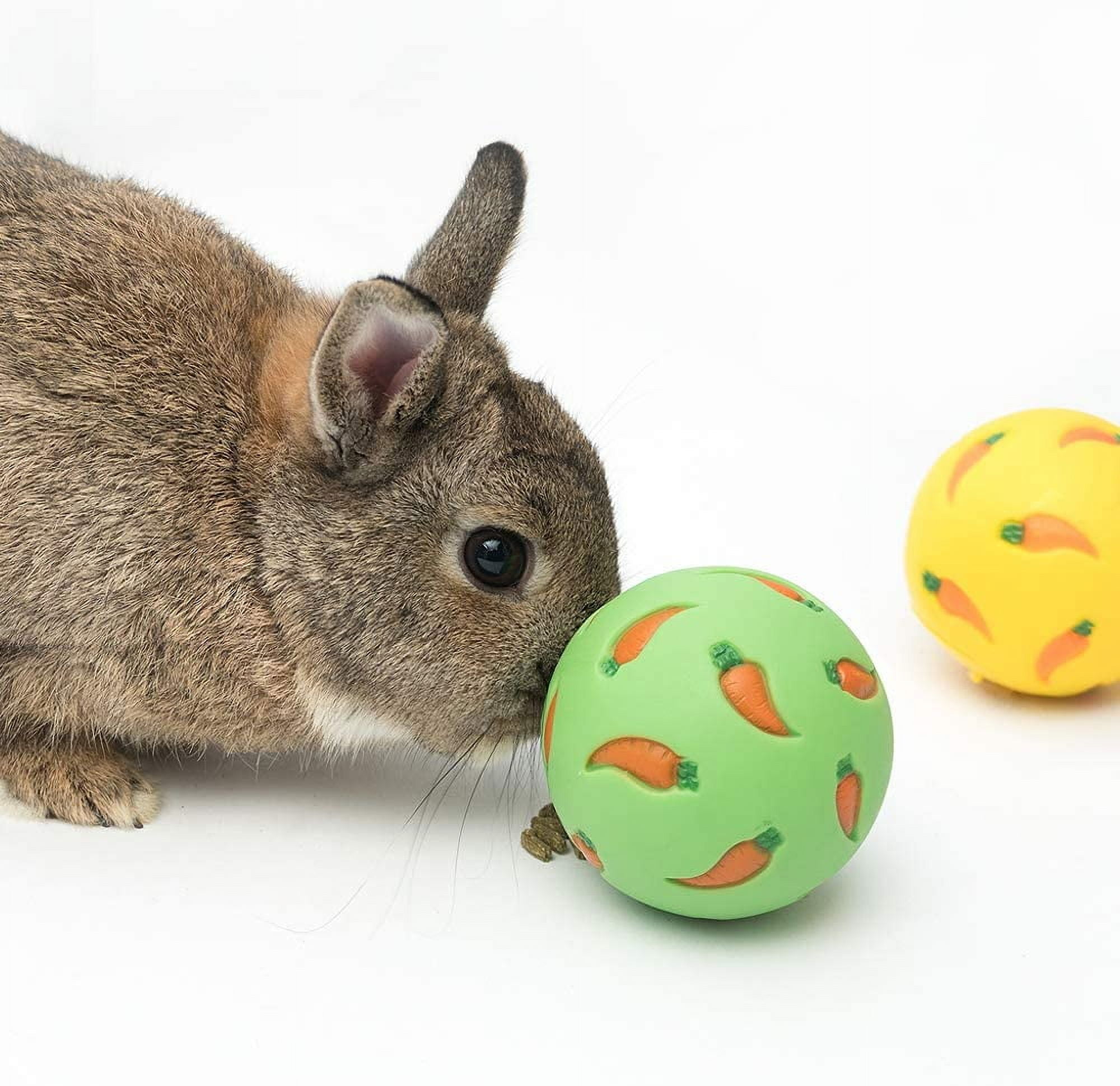 Treat Ball, Snack Ball for Small Animals (Small, Yellow & Green)