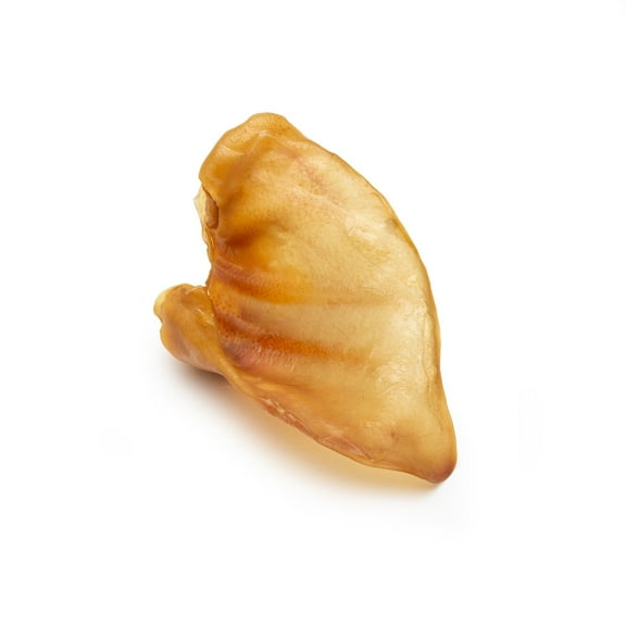 TreatWag Roasted Full Pig Ears for Dogs, All Nataural Chews, Single Ingredient Whole Pig Ear, Light to Medium Chewers, 1 Piece