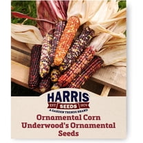 Harris Seeds Underwood’s Ornamental Corn, Mixed Color Kernels, Treated, 1/2 lb