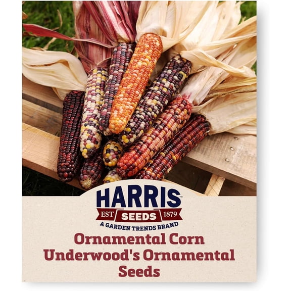Harris Seeds Underwood’s Ornamental Corn, Mixed Color Kernels, Treated, 1/2 lb
