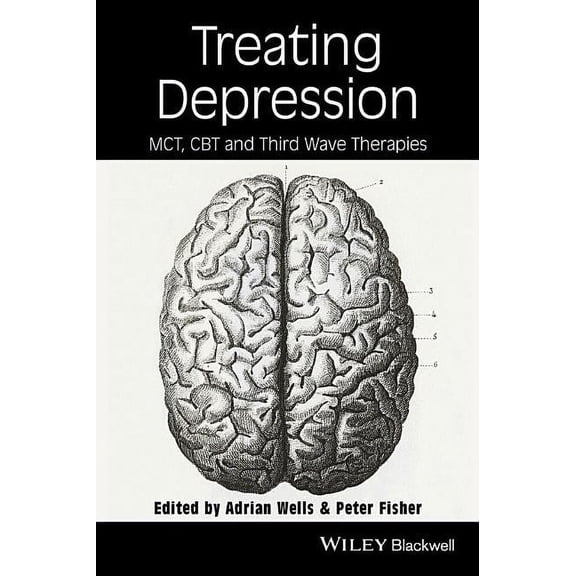 Treating Depression: McT, Cbt, and Third Wave Therapies, (Paperback)