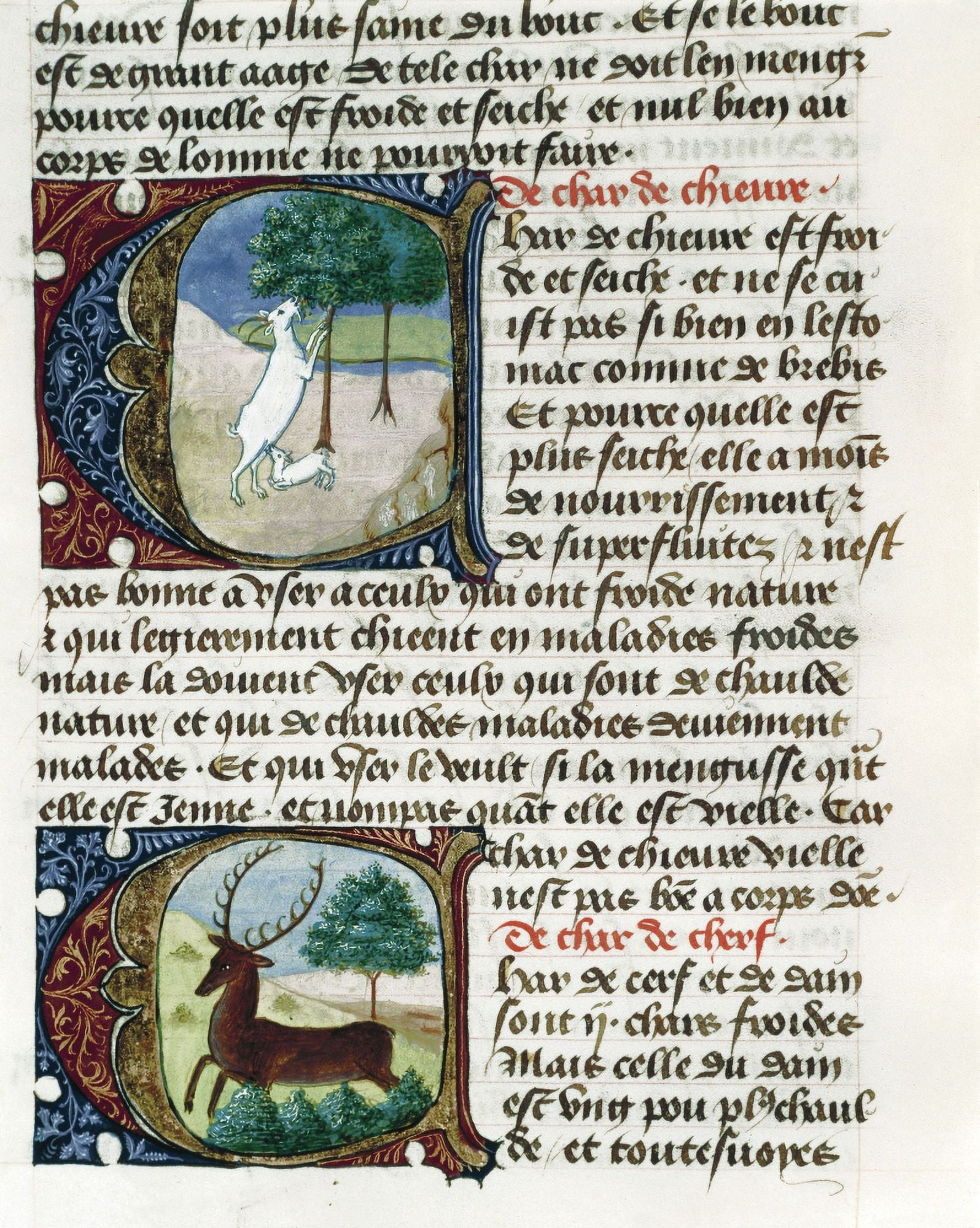Treatise On Medicine By Aldebrando De Firenze (1356) Canvas Art - (18 x 24)