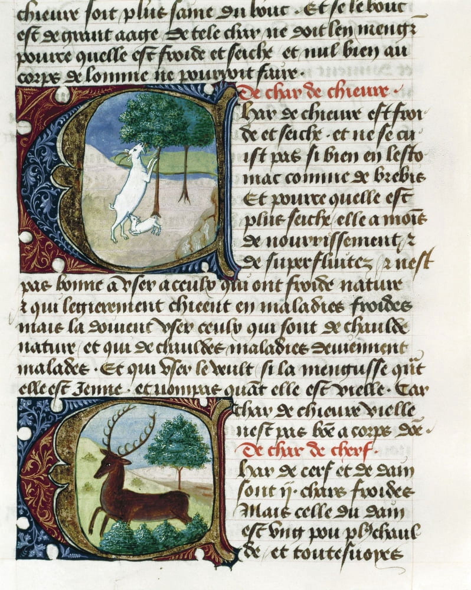 Treatise On Medicine By Aldebrando De Firenze (1356) Canvas Art - (24 x 36)