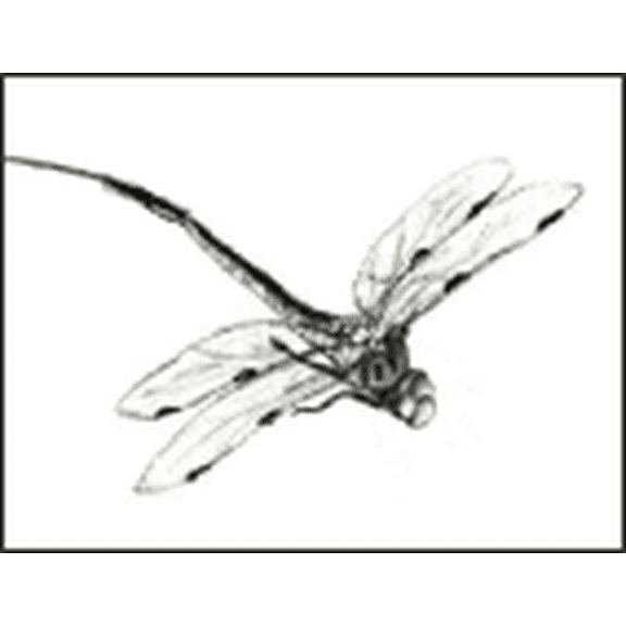 Tred-Not Dragonfly Predator Repellent, Motion Activated Replica Scarecrow