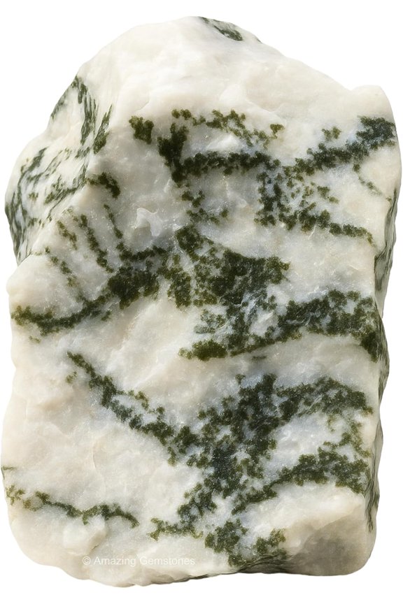 Tree Agate Raw Crystals and Healing Stones (1 Piece)