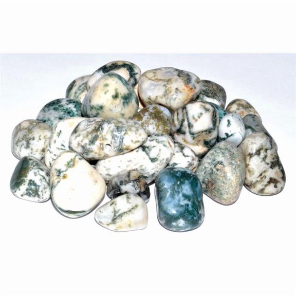 Tree Agate Tumbled Stones - Green - 1 lb - Calming Energy