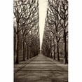 thumbnail image 1 of "Tree Alley" Painting Print on Wrapped Canvas, 1 of 5