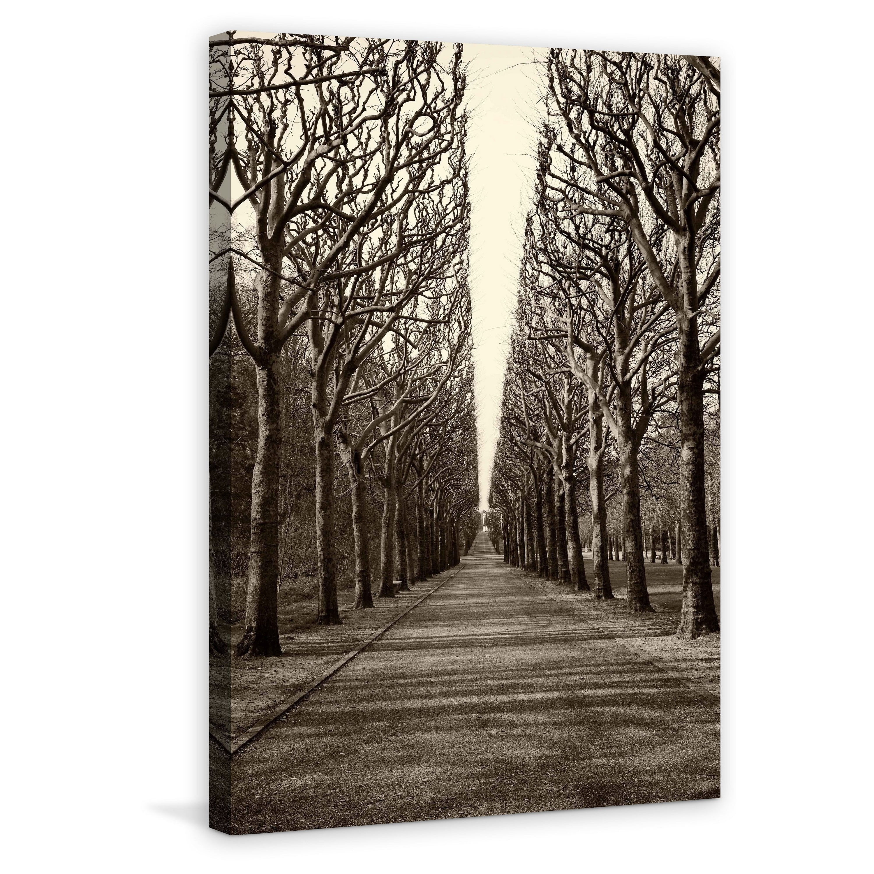 "Tree Alley" Painting Print on Wrapped Canvas