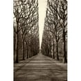thumbnail image 1 of "Tree Alley" Painting Print on Wrapped Canvas, 1 of 7