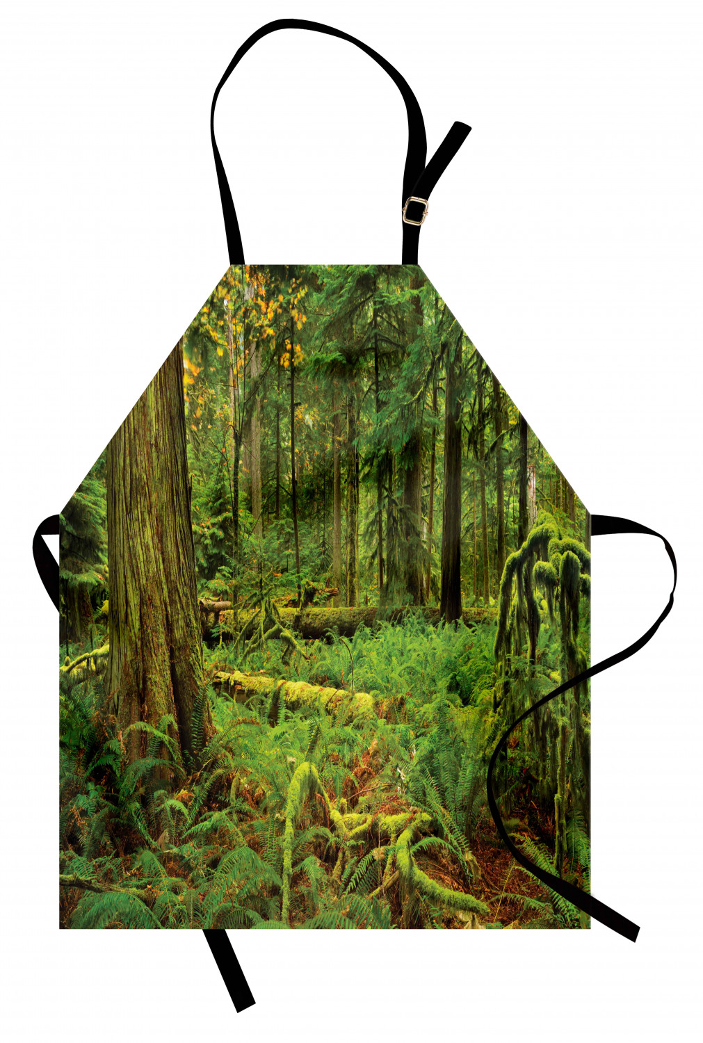 Tree Apron Idyllic Lush Rainforest in Canadian Island with Ferns Moss ...