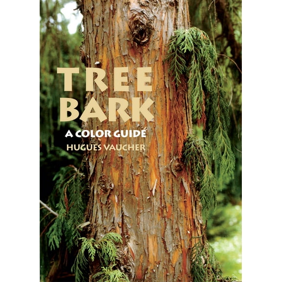 Tree Bark: A Color Guide, (Paperback)