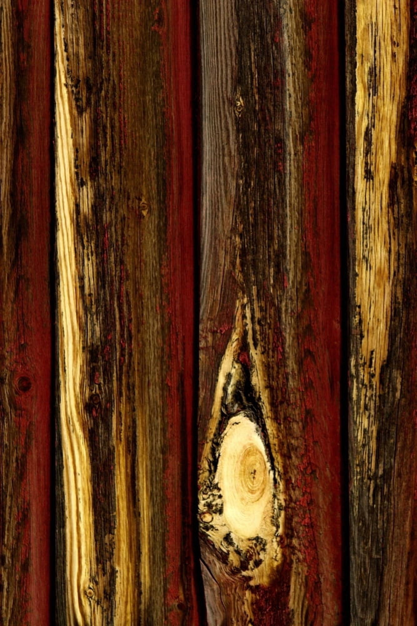 Tree Bark Canvas Art - Don Hammond Design Pics (11 x 17)